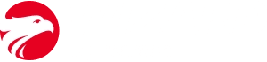 Wizard by Pearson